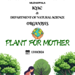 PLANT FOR MOTHER